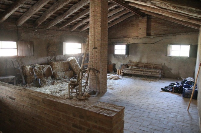 Galeria 6
