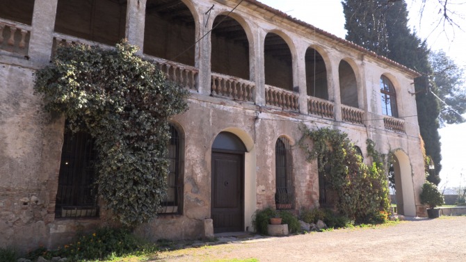 Galeria 7